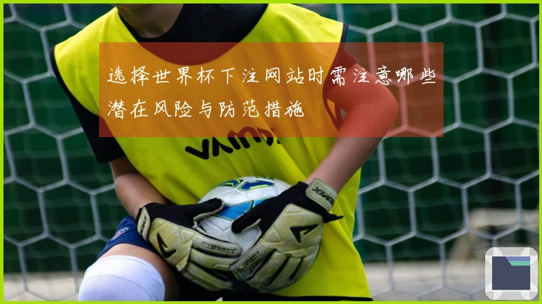 选择世界杯下注网站时需注意哪些潜在风险与防范措施