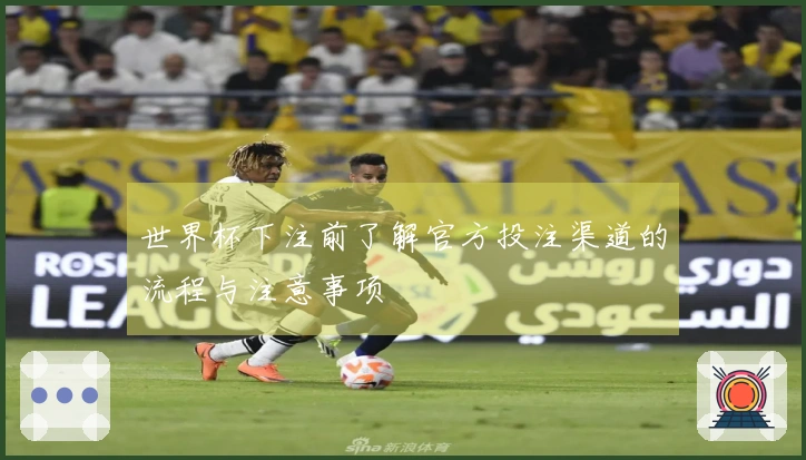 世界杯下注前了解官方投注渠道的流程与注意事项