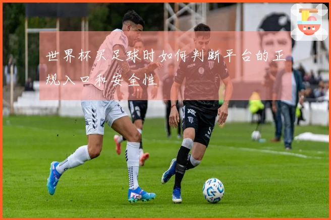 世界杯买足球时如何判断平台的正规入口和安全性